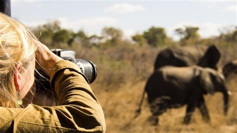 Wildlife Viewing Tips for Travellers on Safari in Africa - Safaris Down South