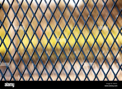 Steel wire mesh fence abstract rhythmic background texture for design Stock Photo - Alamy