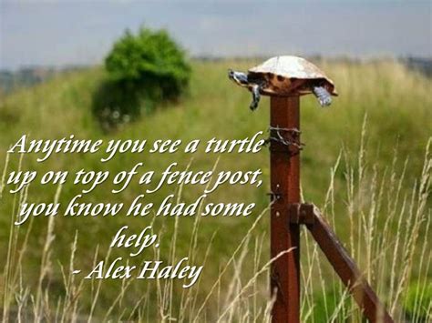 "Anytime you see a turtle up on top of a fence post, you know he had some help." - Alex Haley ...