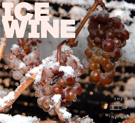 Ice Wine: Everything You Need To Know - The Wine Wiki