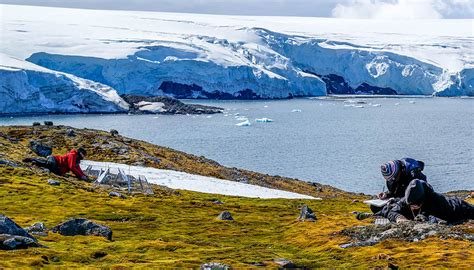 The extraordinary Antarctic plants with superhero powers