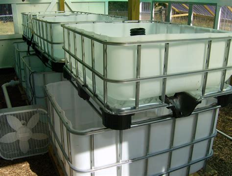 The Aquaponics Gardener: IBC Tote Tank Aquaponics