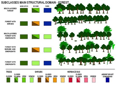 LAND COVER CLASSIFICATION SYSTEM