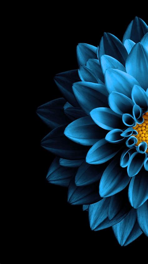 Amoled Flower Android , Blue Amoled HD phone wallpaper | Pxfuel