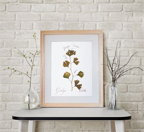 Pressed Plant Picture. ART Home Decoration. Big Picture. - Etsy