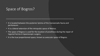 Inguinal Hernia | PPT