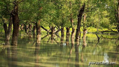 Sundarbans, The World's Largest Mangrove Forest