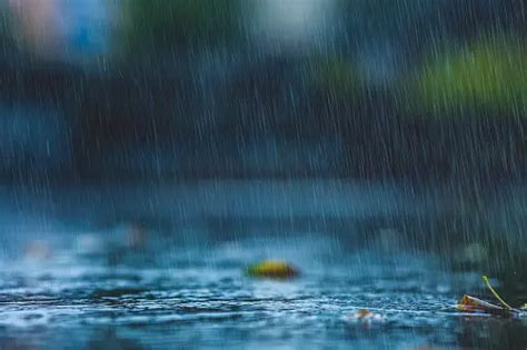 500+ Monsoon Pictures [HD] | Download Free Images on Unsplash