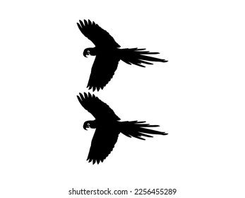 Flying Macaw Bird Silhouette Logo Pictogram Stock Vector (Royalty Free ...