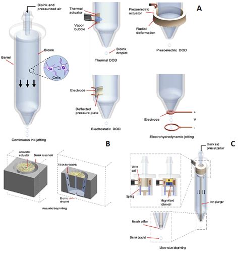 Schematic demonstration of inkjet printing technology. (A) Printing ...