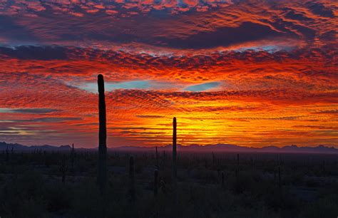 Sunset in the Sonoran Desert of Southern Arizona. [OC][4000x2584] : r/EarthPorn