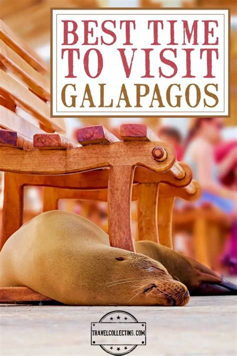 Best Time To Visit Galapagos Islands