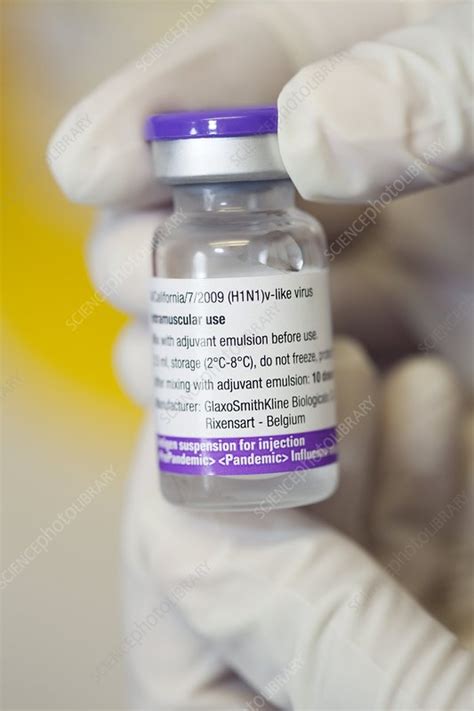 Swine flu vaccine - Stock Image - C003/5671 - Science Photo Library