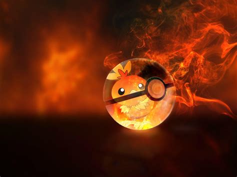 Torchic Wallpapers - Top Free Torchic Backgrounds - WallpaperAccess