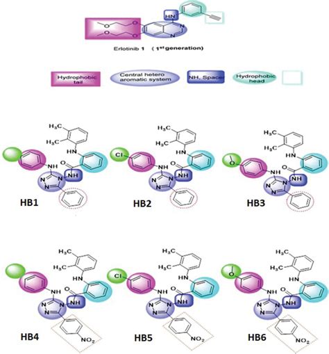 The synthesized compounds predicted feature as EGFR tyrosine kinase... | Download Scientific Diagram