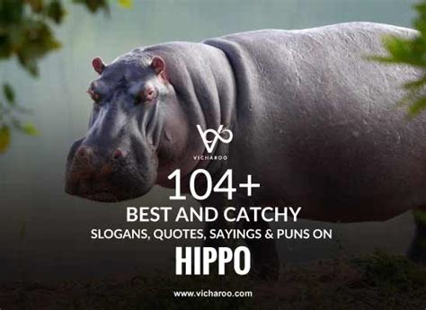 104+ Best Hippo Day Quotes, Puns & Sayings – Vicharoo