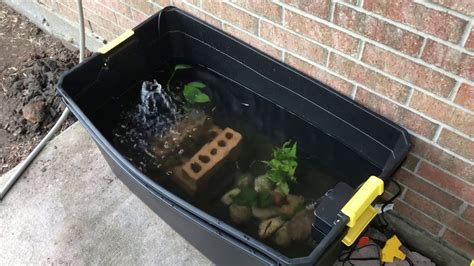 DIY container pond - YouTube