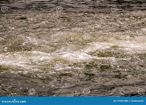 Green Water Texture stock image. Image of green, environment - 119947485