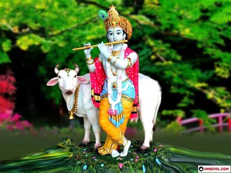 Krishna With Cow Wallpapers - Wallpaper Cave