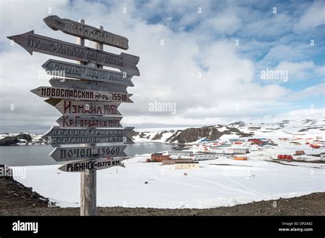 Bellingshausen island hi-res stock photography and images - Alamy