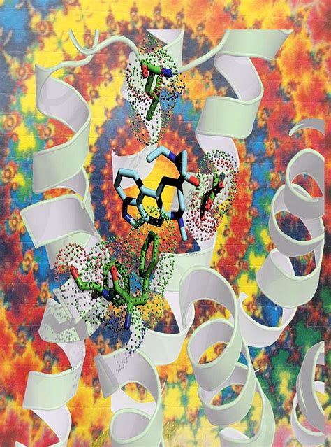 Protein structure reveals how LSD affects the brain | National Institutes of Health (NIH)