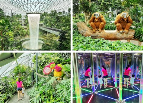 Canopy Park at Jewel Changi Airport: A Detailed Guide