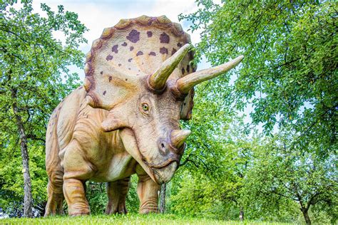 Cómo se defendían los dinosaurios herbívoros - ¡No sabes nada!