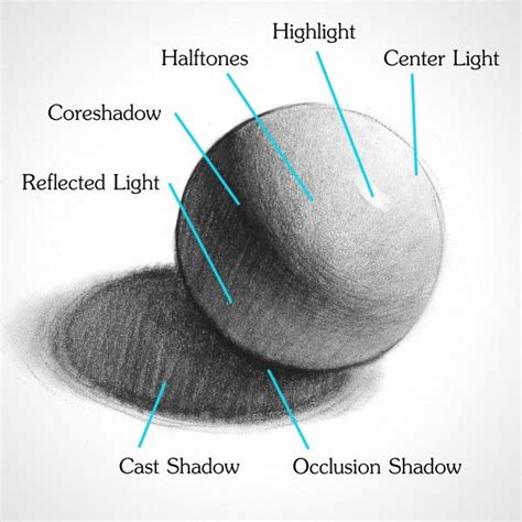 Light and shadow in a drawing (Part-1) - IGNITE Coaching Center