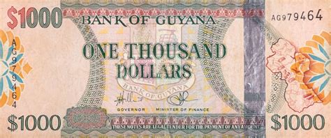 Guyanese Dollar: A Guide to Currency for UK Travellers | Remitly