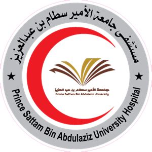 Prince Sattam Bin Abdulaziz University - What the Logo?