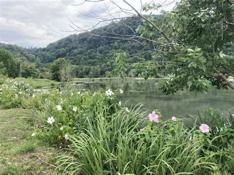 The Well Fields of Saltville, VA: One of the most interesting lakes in Virginia - Visit Smyth County