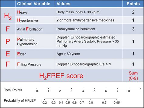 Ejection Fraction Under 25 Percent Prognosis