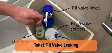 What is Toilet Fill Valve Seal: Explained with valuable Info!