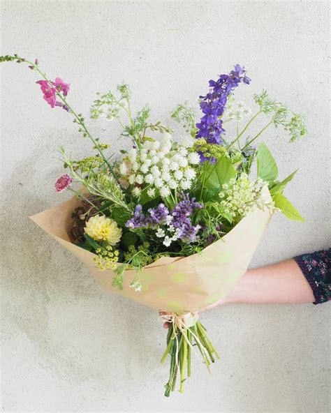 My Top 5 Filler Flowers for the Cutting Garden — Sarah Hill Flowers