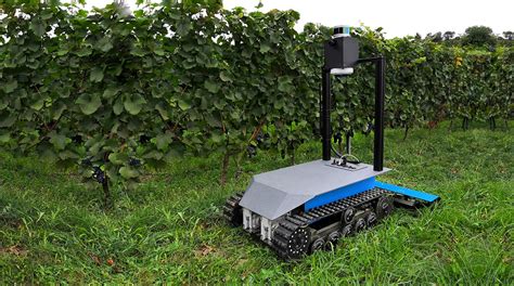 Autonomous robot mows grass between the vineyard | RoboTech Vision