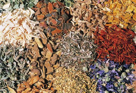 Dried Herb Assortment Photograph by Th Foto-werbung/science Photo Library