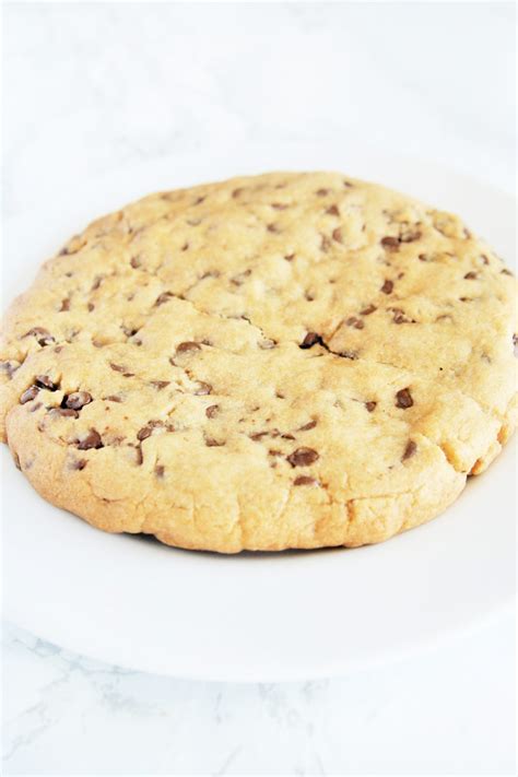 big-chocolate-chip-cookie-1 - The Tasty Bite