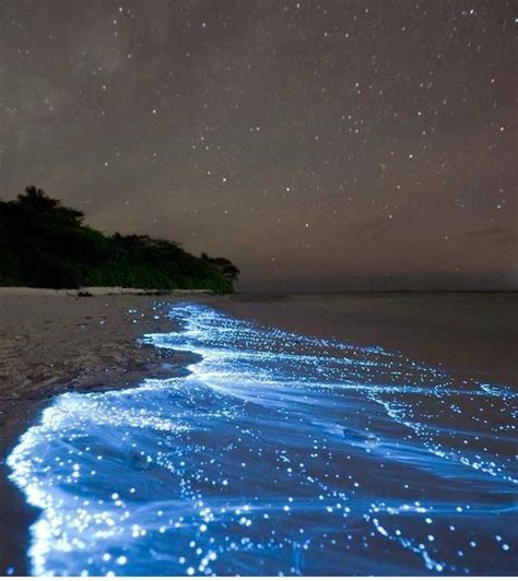 Sparkle beach, Maldives | Places to travel, Places to see, Vacation spots