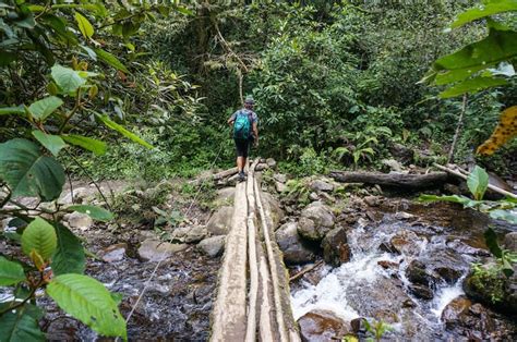 Hiking the Cocora Valley in Colombia - The Adventure Junkies