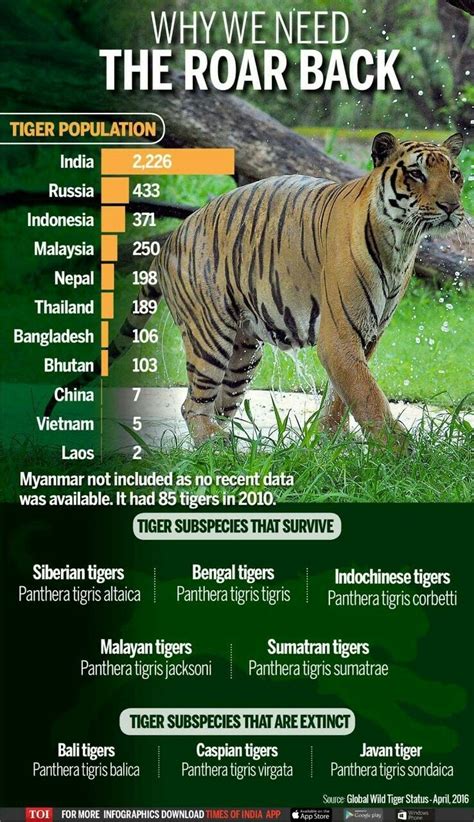 Save the Tigers: Fascinating Facts and Species