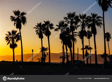 Venice Beach Sunset Stock Photo by ©filedimage 370017696