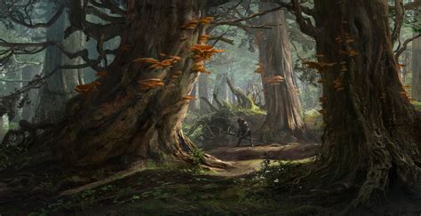 Forest Environment Concept 2 by Sergey Vasnev : r/ImaginaryForests