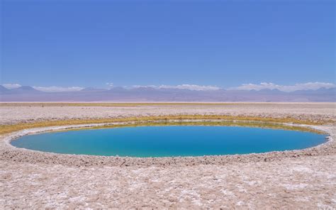 SALAR DE ATACAMA - Salar 8