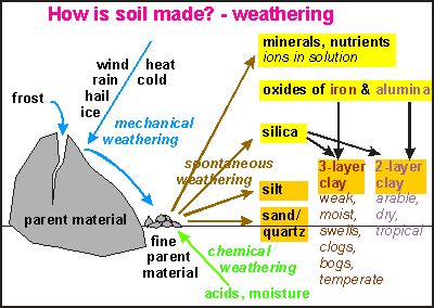 Soil Geology