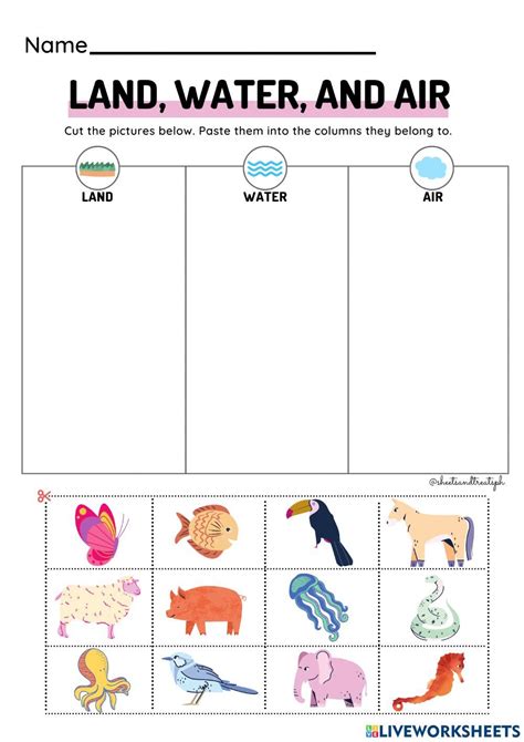 Animals that Live on Land, Air, and Water Worksheet