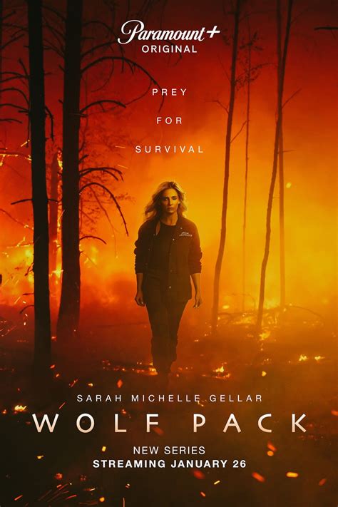 Wolf Pack Season 2 Gets Ambiguous Update Nearly One Year After Premiere