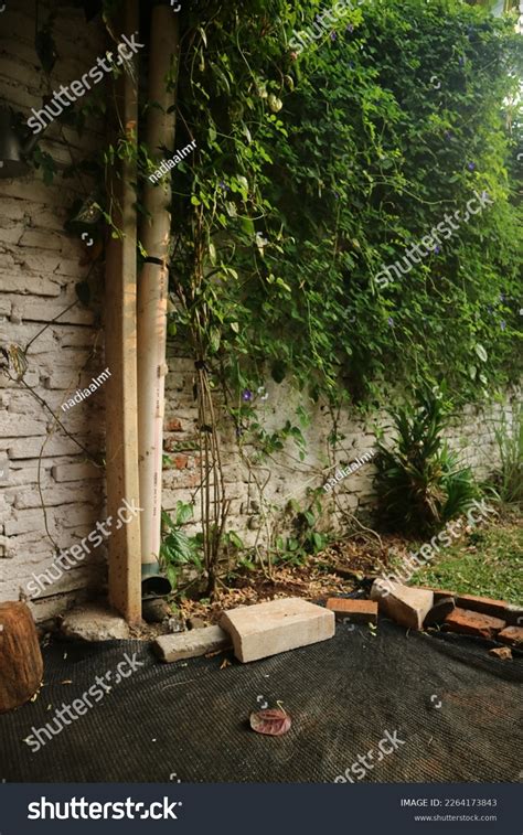 Corner Garden Leaves White Brick Wall Stock Photo 2264173843 | Shutterstock