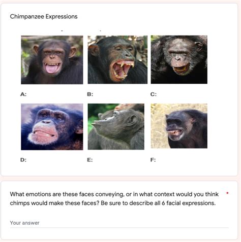 Chimpanzee Expressions A: B: C: D: E: F: F: * What | Chegg.com