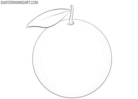 How to Draw an Orange - Easy Drawing Art