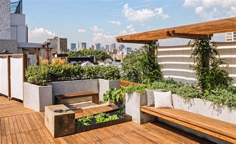 How To Build A Roof Top Garden - Encycloall